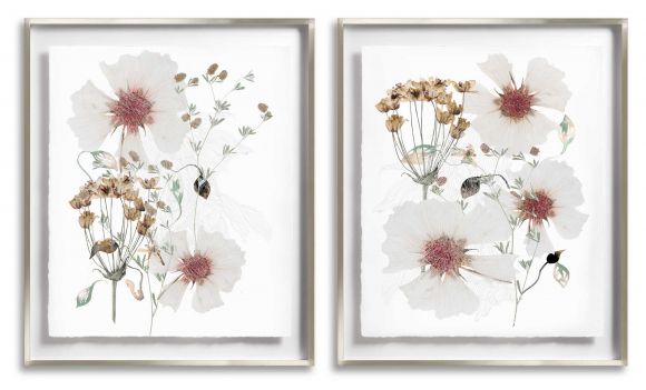 Cotton Whisper in Deluxe Handmade Frames