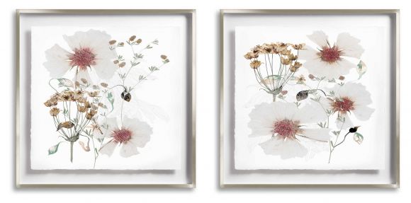 Cotton Whisper in Deluxe Handmade Frames