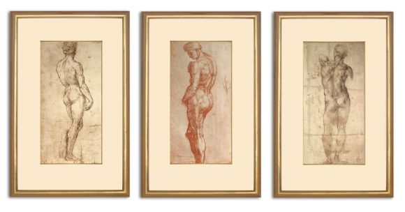 Male Nude Drawings in Standard Frames