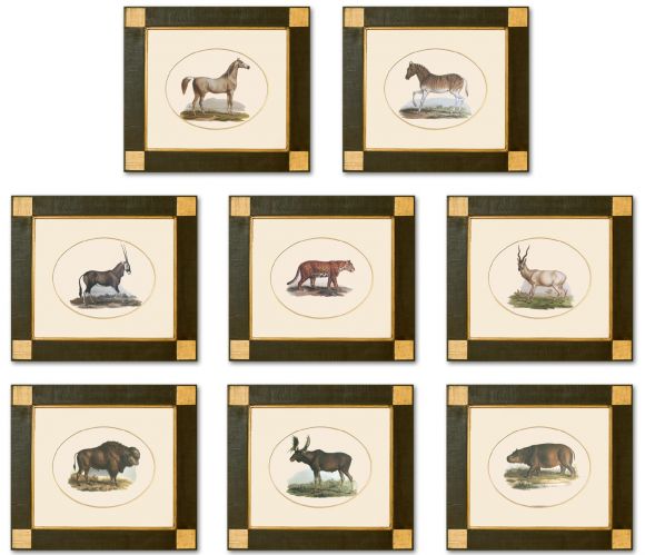 Fitzinger Mammals in Deluxe Handmade Frames