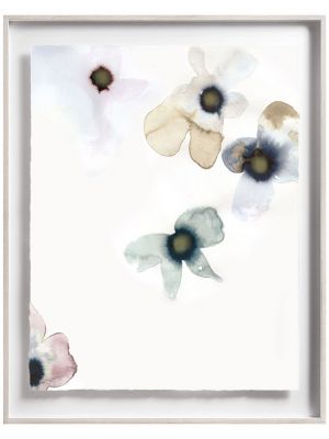 Quintessa Art Collection - Botanical Prints