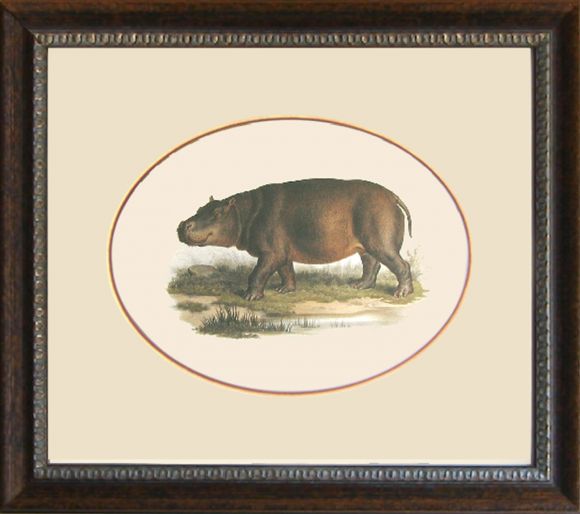 Fitzinger Mammals 02 in a Standard Frame