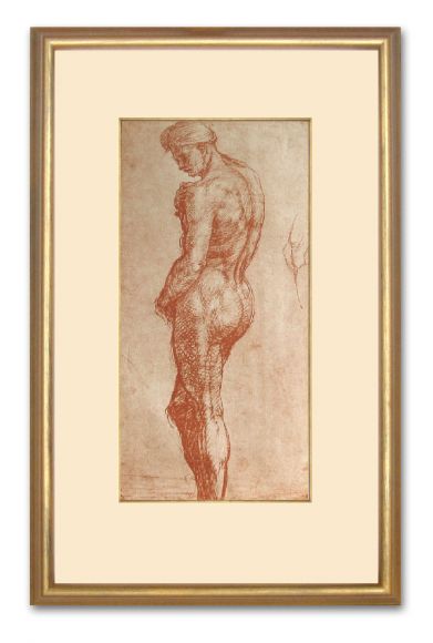 Del Sarto Male Nude in a standard frame.