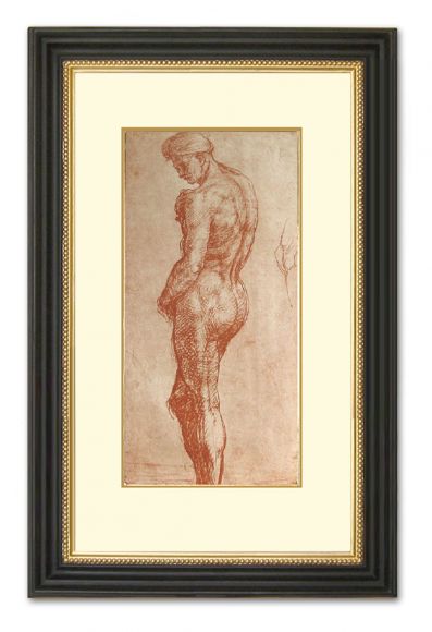 Del Sarto Male Nude in a deluxe handmade frame.