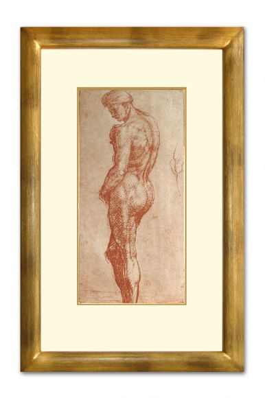 Del Sarto Male Nude in a deluxe handmade frame.