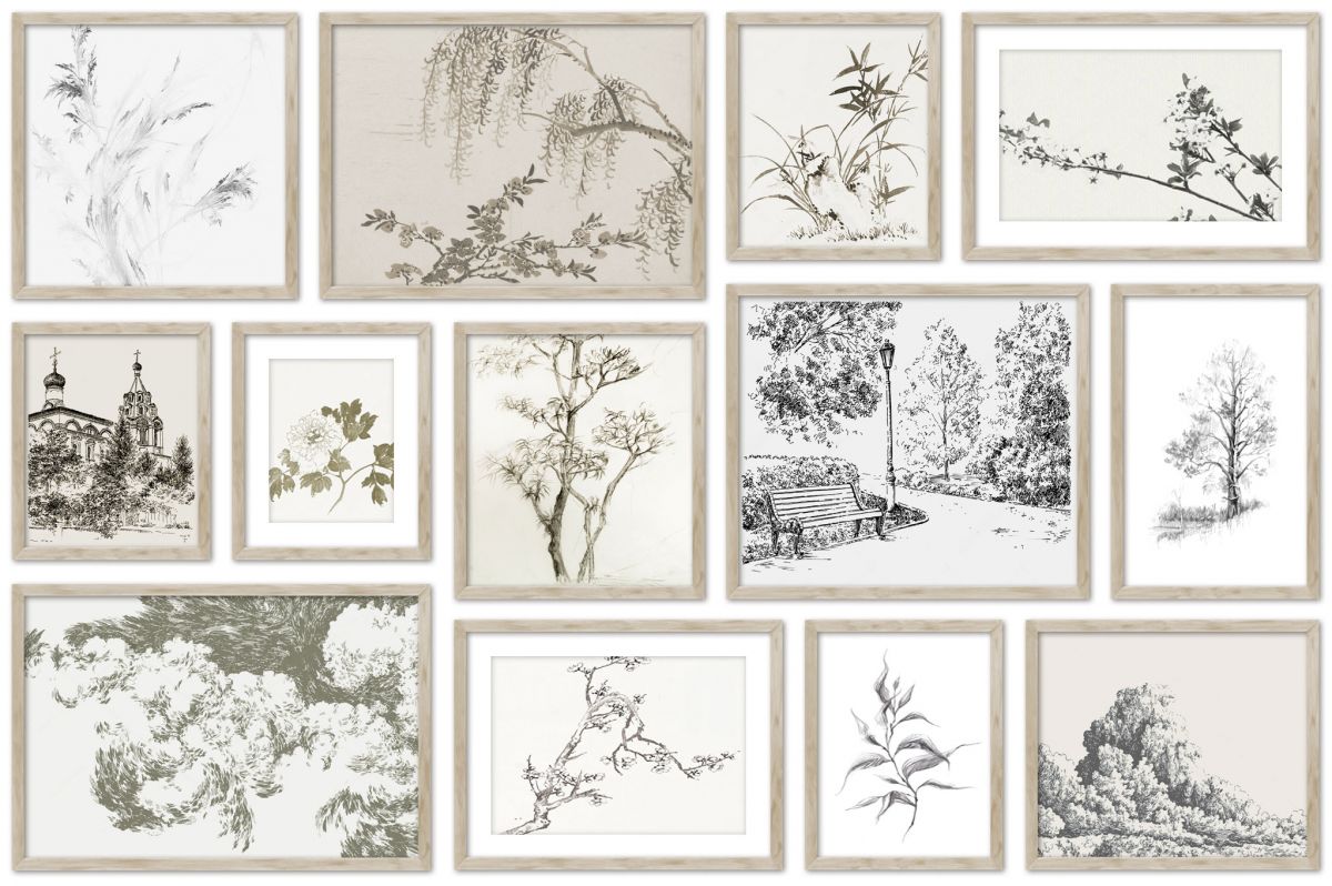 Ravin botanical prints in standard factory frames