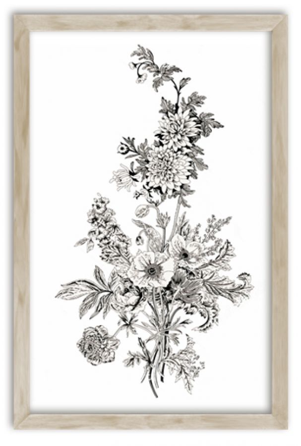 Tavin botanical prints in standard factory frames